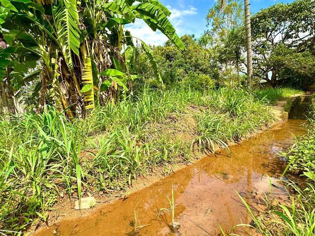 Chácara para Venda em Bela Vista de Goiás - 5