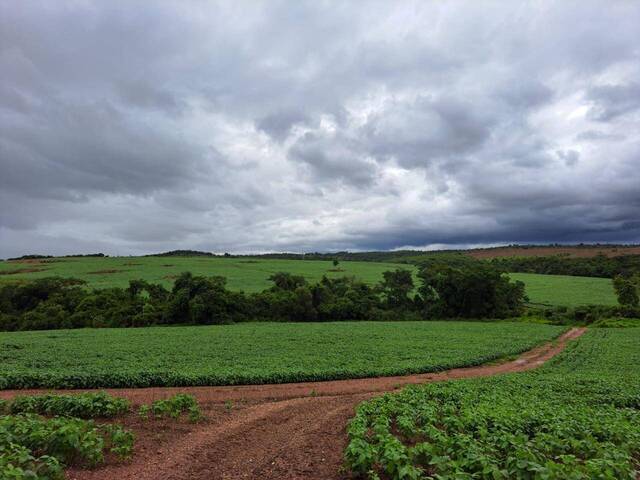 #297 - Fazenda para Venda em Ipameri - GO