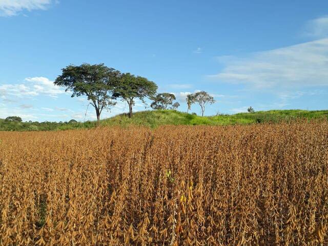 Fazenda para Venda em Ipameri - 5