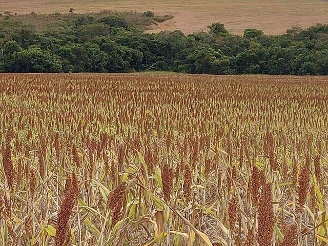 Fazenda para Venda em Ipameri - 4