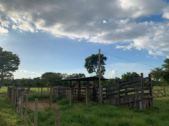 Sítio para Venda em Itapirapuã - 5
