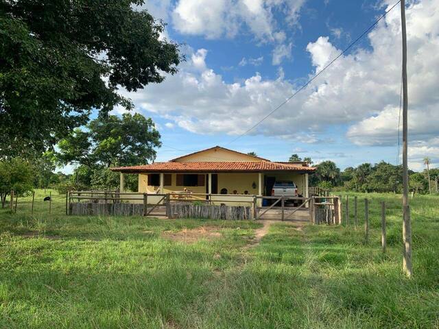 #304 - Sítio para Venda em Itapirapuã - GO - 3