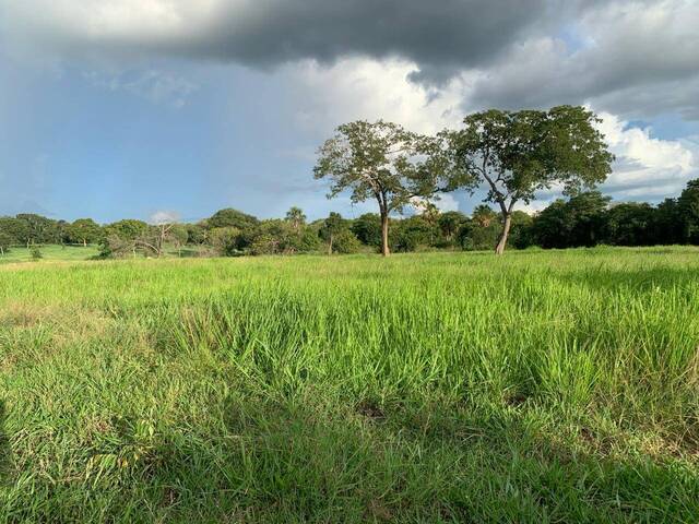 Sítio para Venda em Itapirapuã - 4