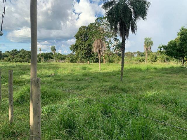 #304 - Sítio para Venda em Itapirapuã - GO - 1
