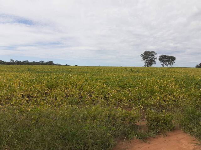 #308 - Fazenda para Venda em Ribeirão Cascalheira - MT - 3