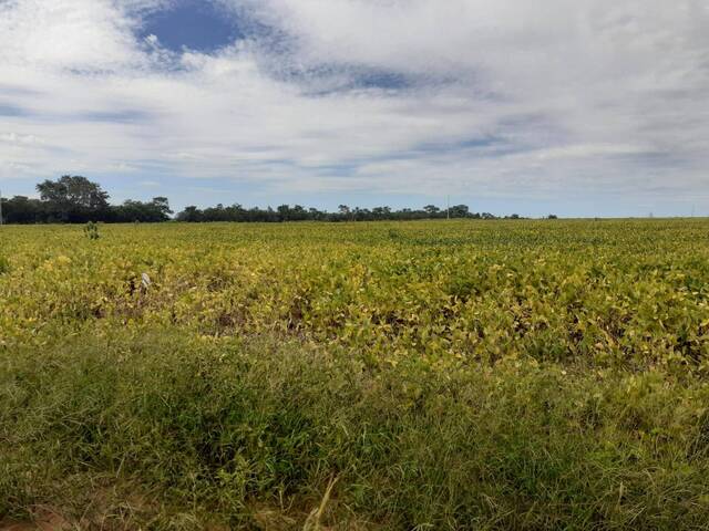 #308 - Fazenda para Venda em Ribeirão Cascalheira - MT - 2