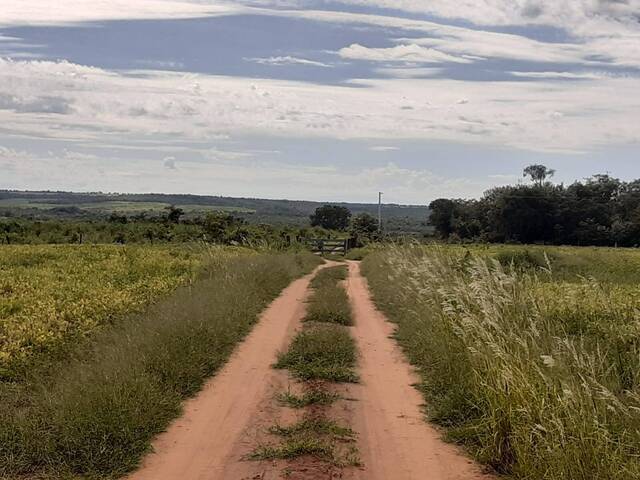 Venda em Zona Rural - Ribeirão Cascalheira
