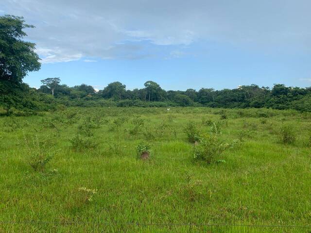 Fazenda para Venda em Ribeirão Cascalheira - 5