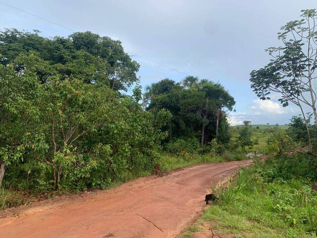 Fazenda para Venda em Ribeirão Cascalheira - 4