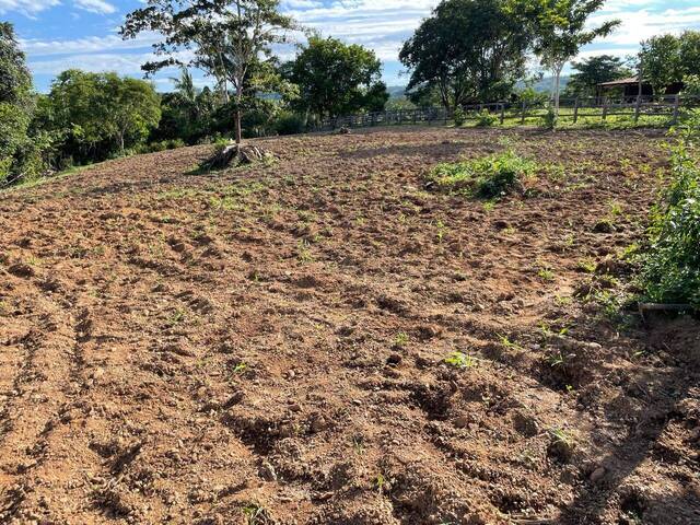 #309 - Sítio para Venda em Santa Cruz de Goiás - GO - 1