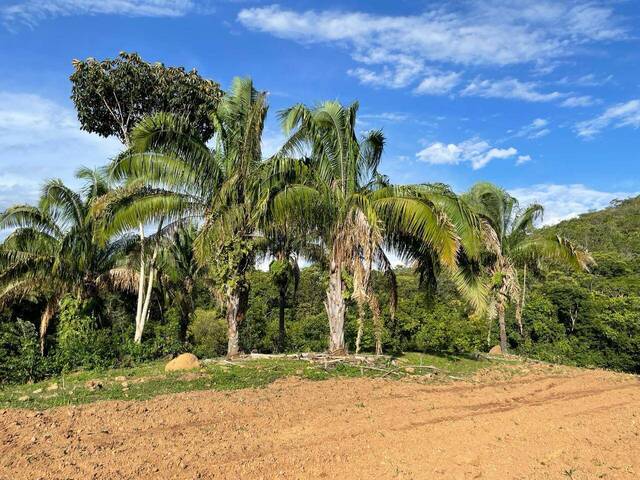 #309 - Sítio para Venda em Santa Cruz de Goiás - GO - 2