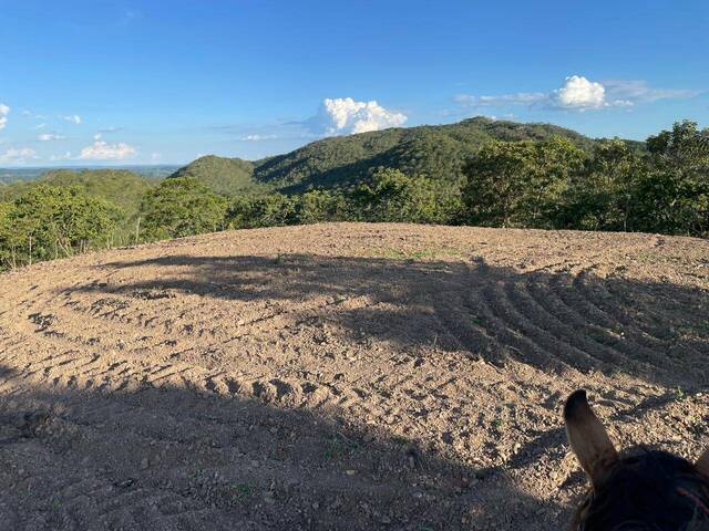 Sítio para Venda em Santa Cruz de Goiás - 4