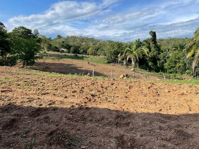 Sítio para Venda em Santa Cruz de Goiás - 5