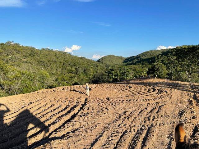 #309 - Sítio para Venda em Santa Cruz de Goiás - GO - 3