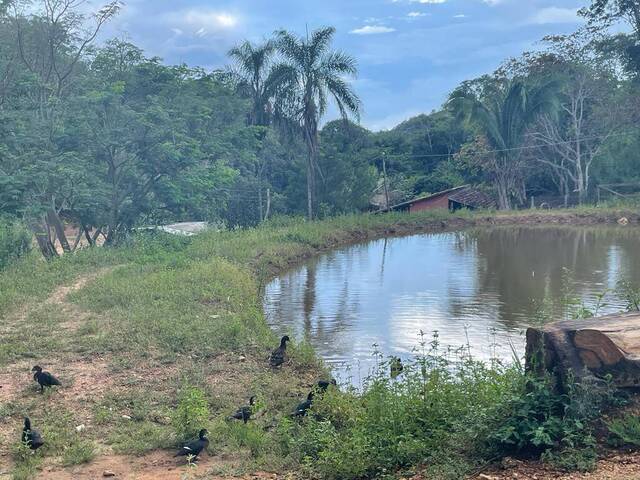 #310 - Sítio para Venda em Santa Cruz de Goiás - GO - 2