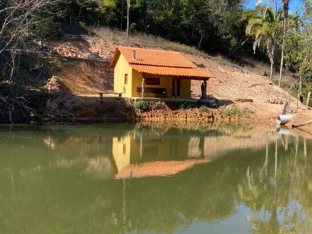 #310 - Sítio para Venda em Santa Cruz de Goiás - GO - 1