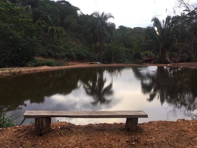 #310 - Sítio para Venda em Santa Cruz de Goiás - GO - 3