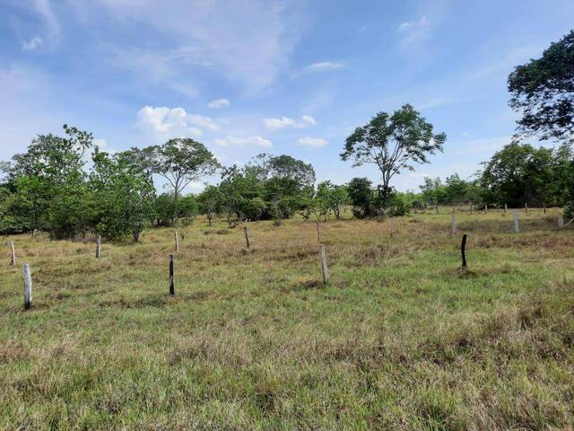 #314 - Fazenda para Venda em Britânia - GO - 2