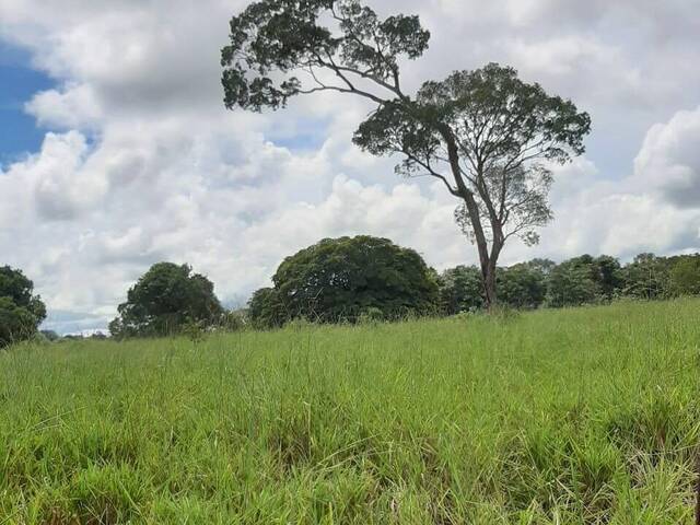 Fazenda para Venda em Britânia - 4
