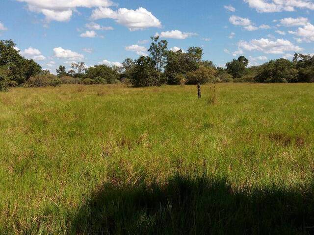 Fazenda para Venda em Britânia - 5