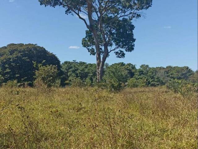 #314 - Fazenda para Venda em Britânia - GO - 3