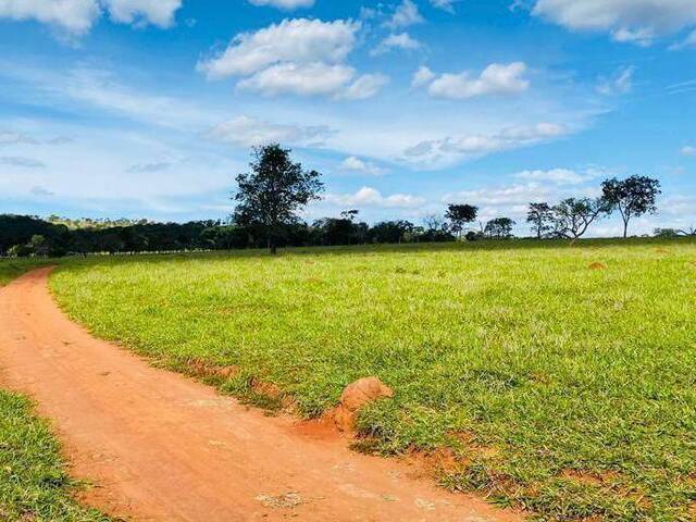 #320 - Fazenda para Venda em Cristianópolis - GO - 2