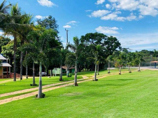 #320 - Fazenda para Venda em Cristianópolis - GO - 3