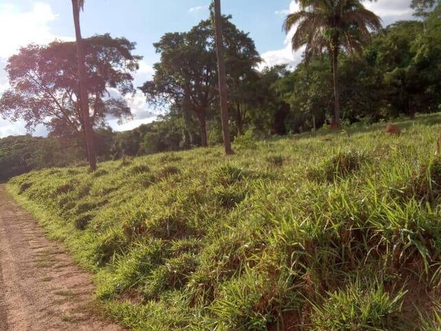 #321 - Fazenda para Venda em Caldas Novas - GO - 2