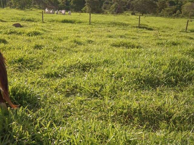 Fazenda para Venda em Caldas Novas - 5