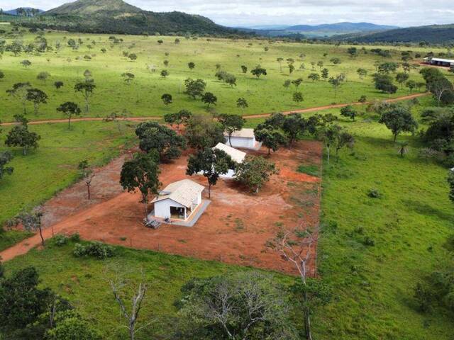 #324 - Fazenda para Venda em Cocalzinho de Goiás - GO - 1