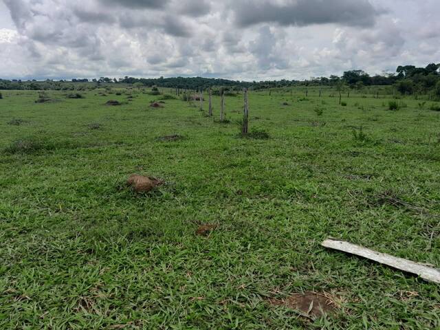Chácara para Venda em Campestre de Goiás - 5