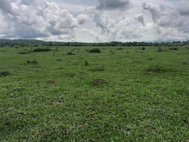 Chácara para Venda em Campestre de Goiás - 4