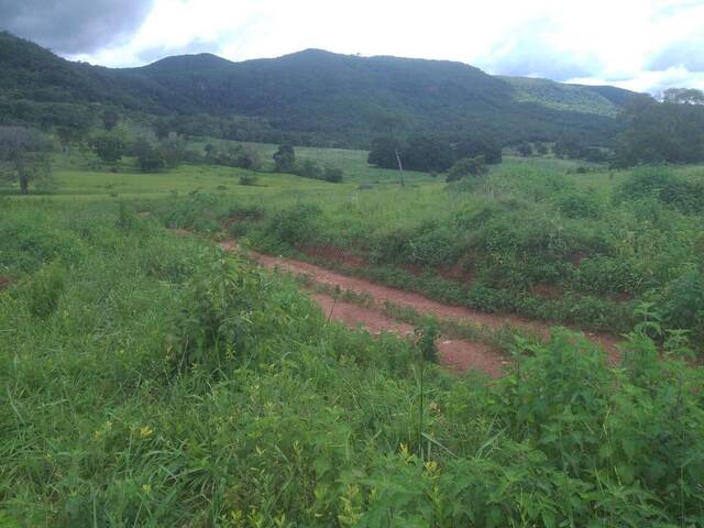 #327 - Fazenda para Venda em Pirenópolis - GO - 2