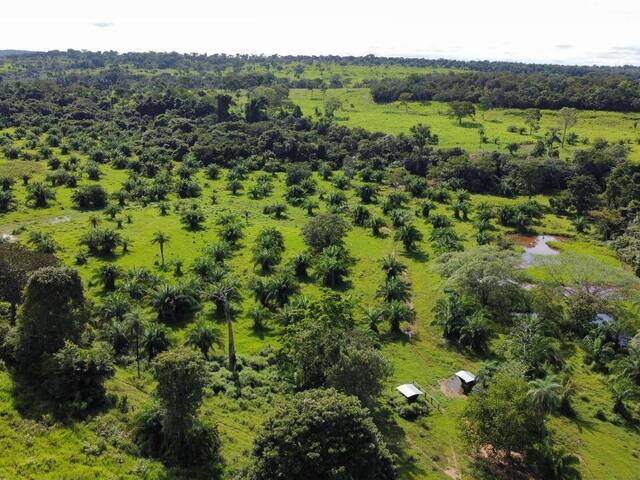 #328 - Fazenda para Venda em Ribeirão Cascalheira - MT - 3