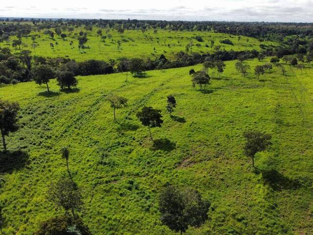 Fazenda para Venda em Ribeirão Cascalheira - 5