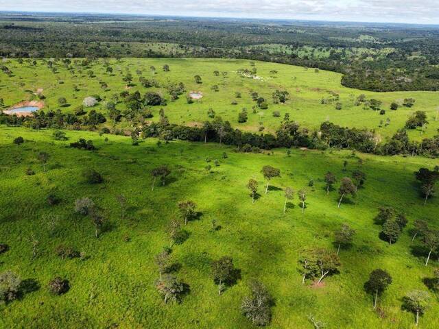 Fazenda para Venda em Ribeirão Cascalheira - 4