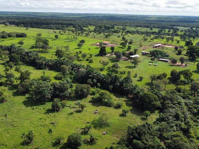 #328 - Fazenda para Venda em Ribeirão Cascalheira - MT - 2