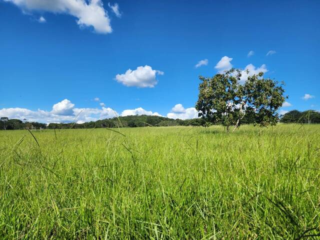 #330 - Sítio para Venda em Pirenópolis - GO - 2