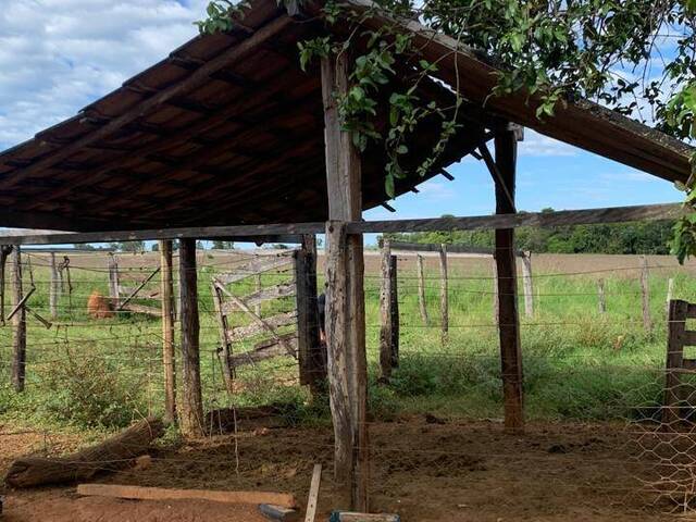 Sítio para Venda em Fazenda Nova - 5