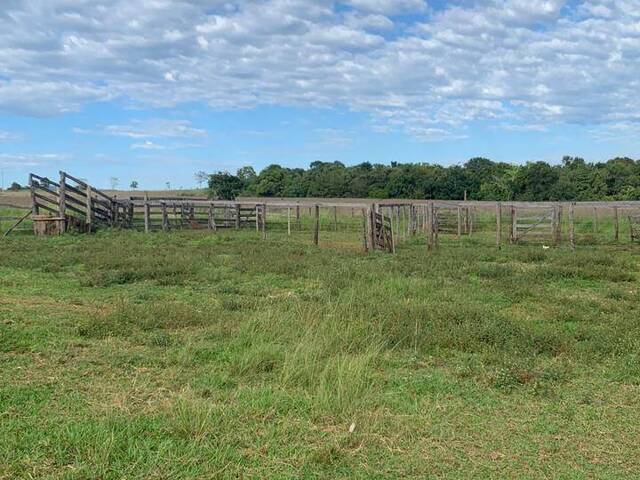 Sítio para Venda em Fazenda Nova - 4