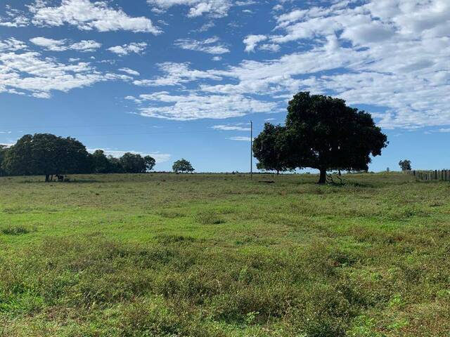 #333 - Sítio para Venda em Fazenda Nova - GO - 1