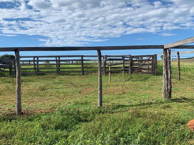 #333 - Sítio para Venda em Fazenda Nova - GO - 3