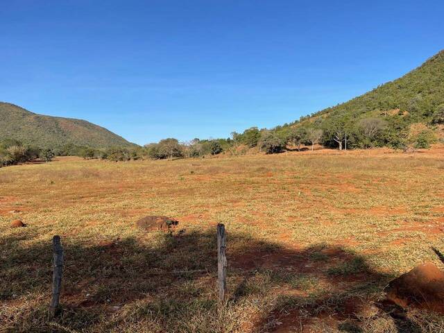 Venda em Zona Rural - Faina