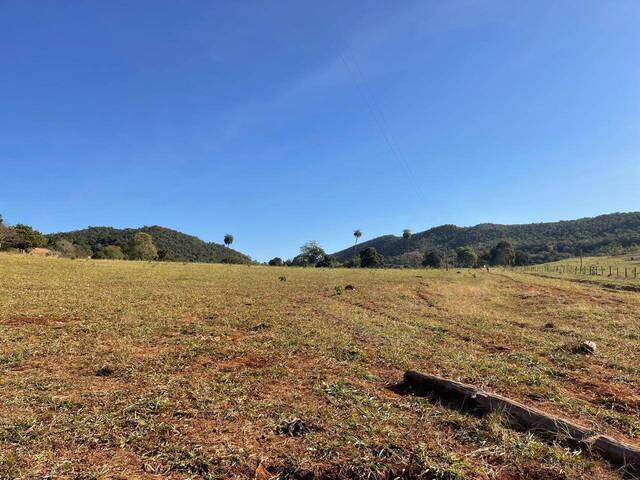 Fazenda para Venda em Faina - 4