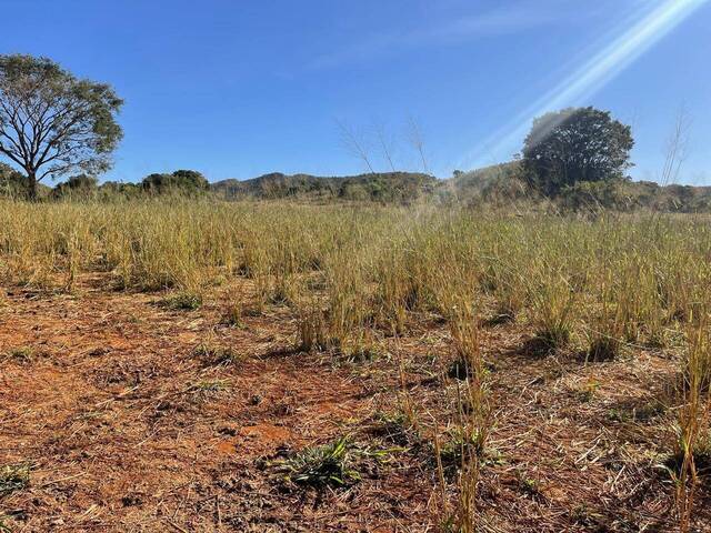 #334 - Fazenda para Venda em Faina - GO - 3
