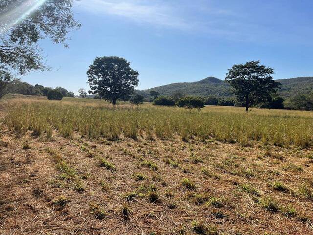 Fazenda para Venda em Faina - 5