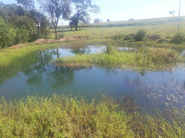 Chácara para Venda em Adelândia - 4
