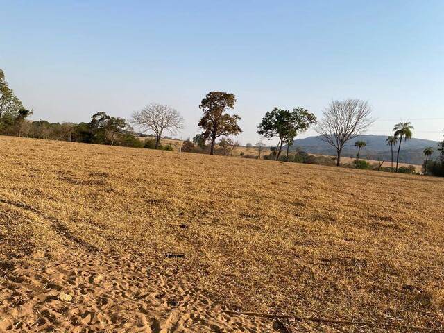 Chácara para Venda em Nazário - 5
