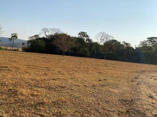 Chácara para Venda em Nazário - 4