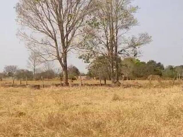 Sítio para Venda em Fazenda Nova - 4